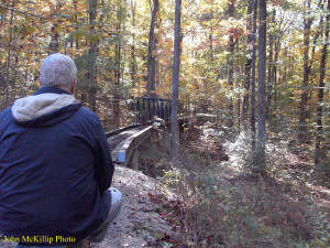 Click for full size image